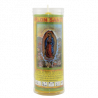 VS VIRGEN DE LA GUADALUPE