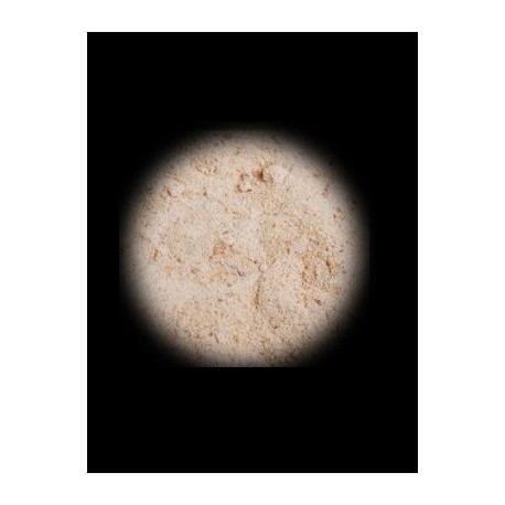 INCIENSO POLVO BENJUI