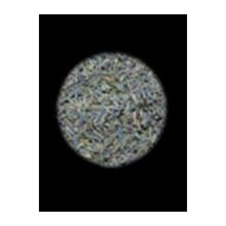 INCIENSO EN POLVO ESPLIEGO